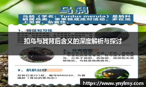 乐趣无穷〉