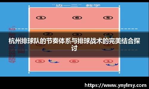 杭州排球队的节奏体系与排球战术的完美结合探讨