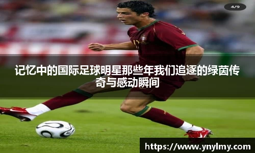 记忆中的国际足球明星那些年我们追逐的绿茵传奇与感动瞬间